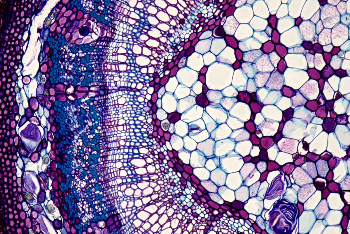 Optical Spectroscopy - Nanoscience - Oxford Instruments